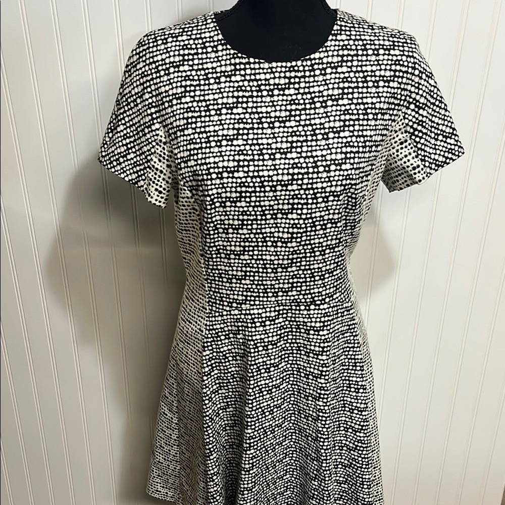 Banana Republic Dress Size 8 Black and White